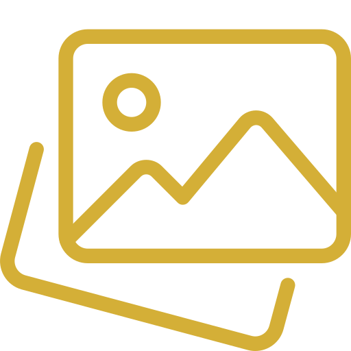 Delicate hand-drawn sketch